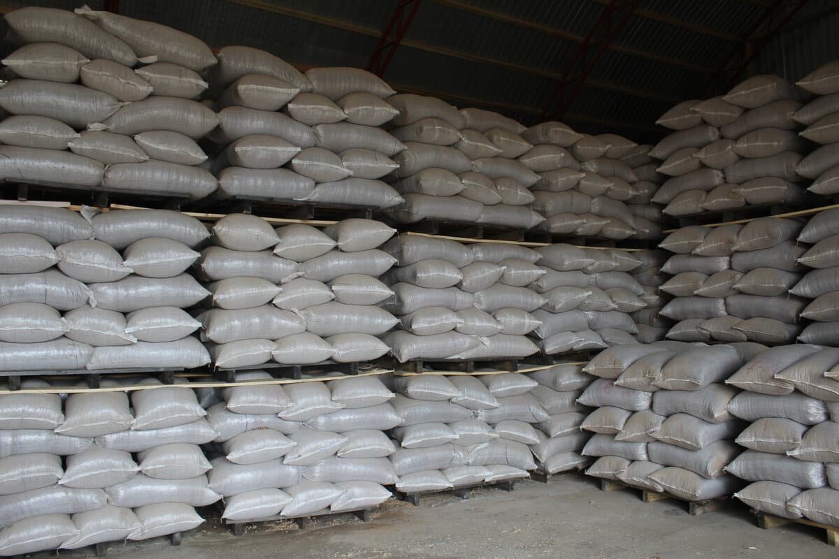 Kupujúci peliet odhaľuje, prečo boli mesiace skladovania zbytočné