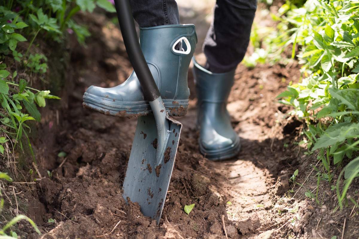 Záhrada: tento zvyk s lopatou nenápadne ničí vašu pôdu, kedy je potrebné prestať (a kedy zachovať)