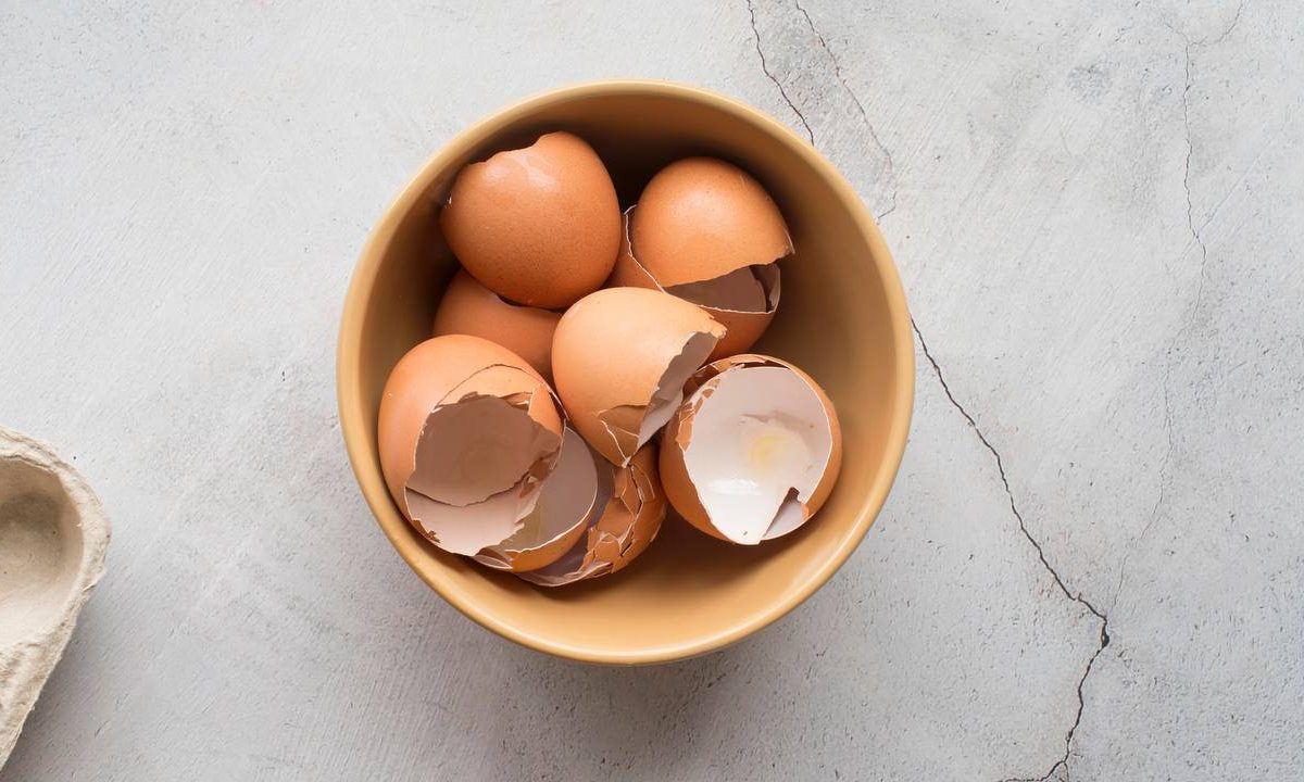 Pridám čierny nápoj do škrupiny a konám. Môj trik si zaslúži vavrínový veniec.