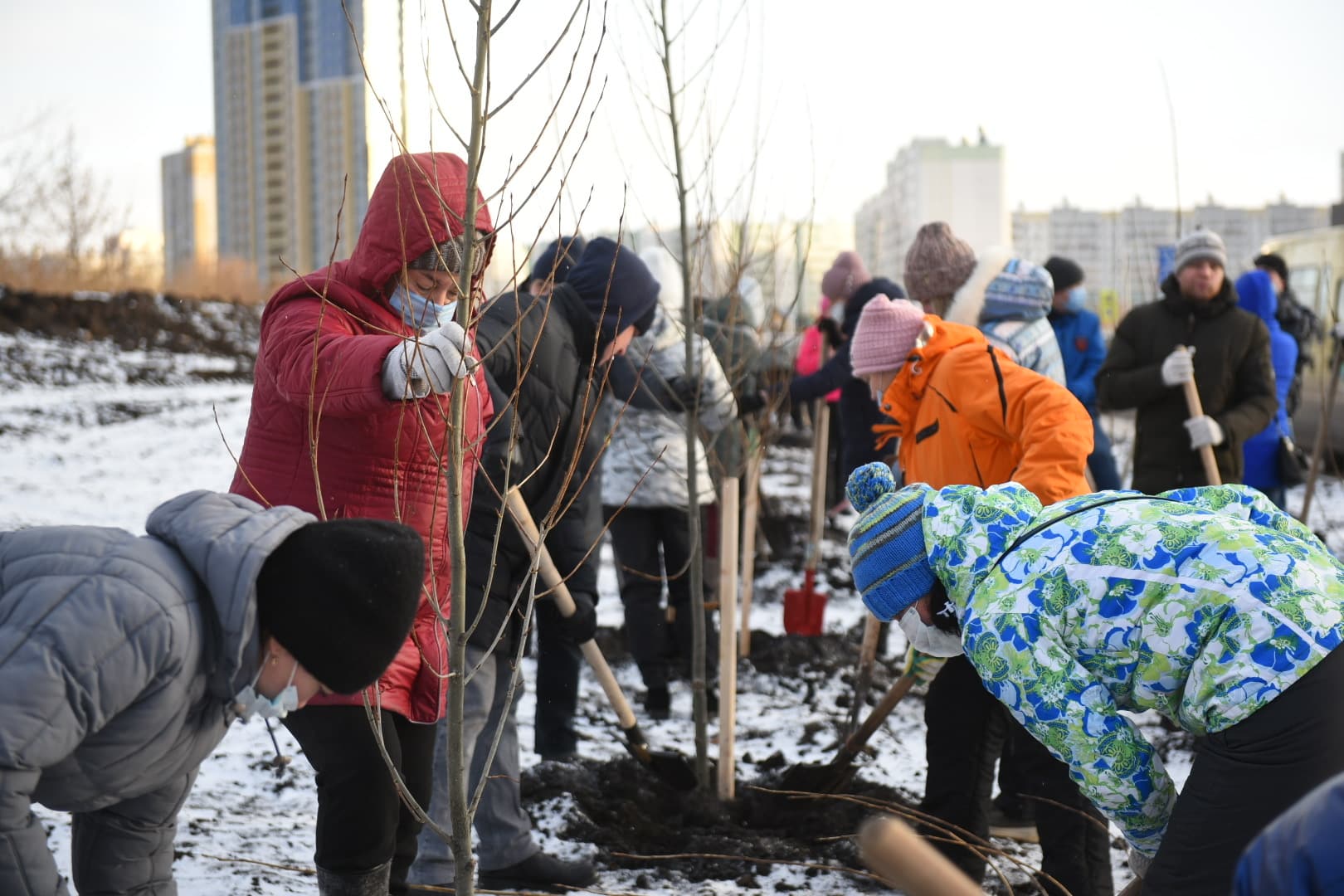 Vaša budúca košík s ovocím začína dnes: 3 ovocné stromy, ktoré treba bezodkladne vysadiť
