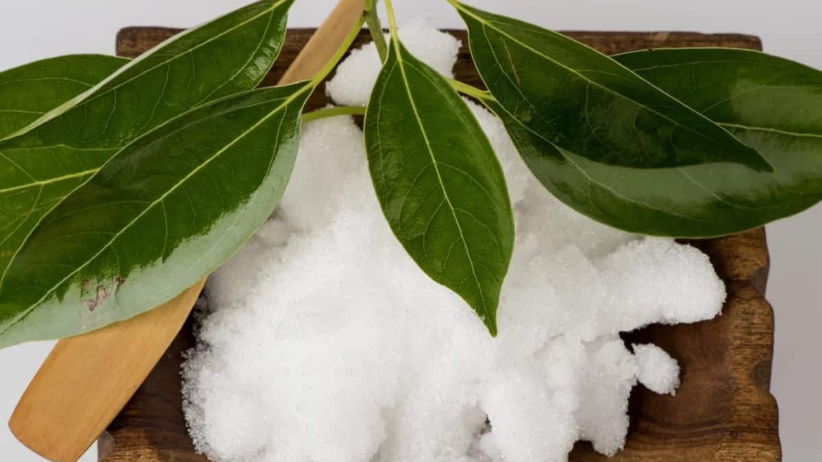 Šálka soli a tri bobkové listy v každej izbe: pozrite sa, čo sa stane. Jednoduchý trik, ktorý naozaj funguje.