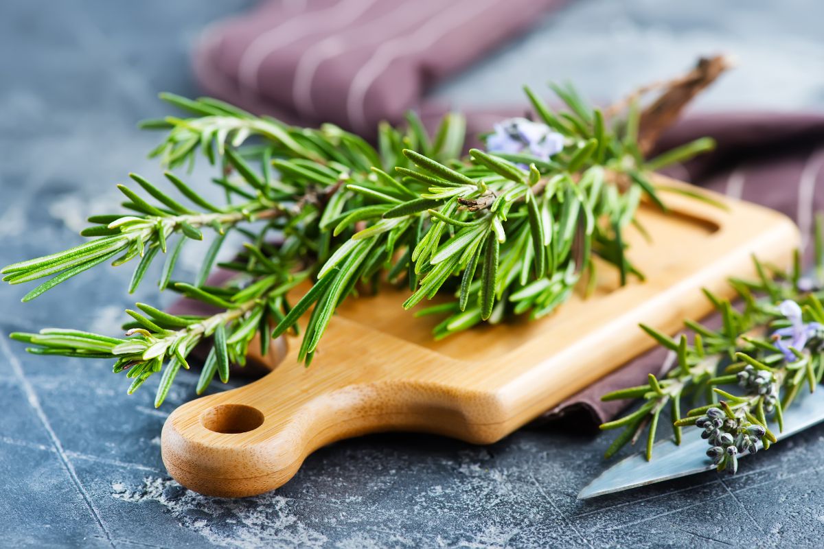 Použitie hydrogenuhličitanu sodného a rozmarínu na šedivé vlasy: načo je to potrebné a ako to robiť