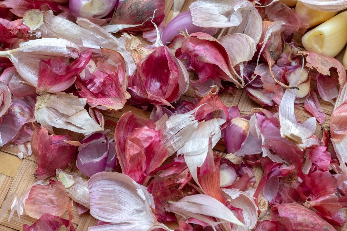 Prečo skúsení záhradníci zbierajú cesnakovú šupku v zime: na jar sa mení na zlato