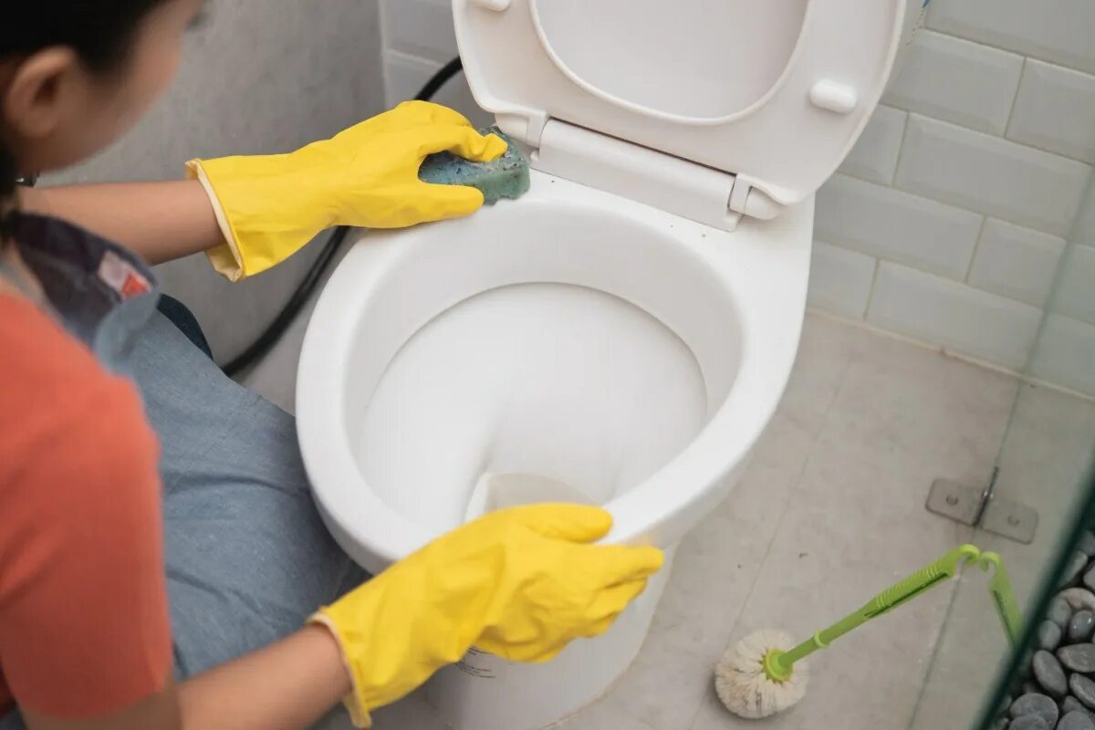 Ako sa zbaviť zápachu moču v kúpeľni a dokonale ju vyčistiť za pár minút.