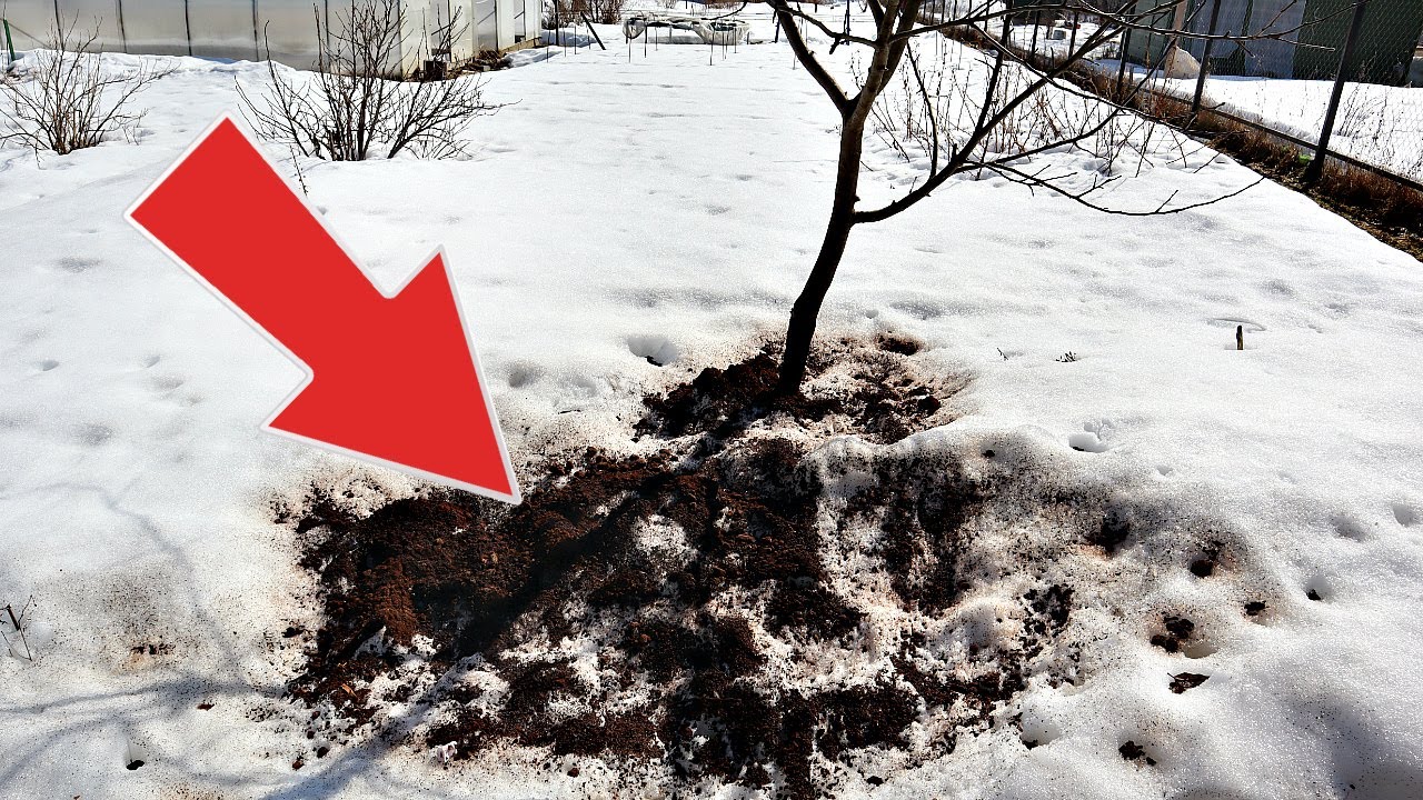 posýpať drevený popol