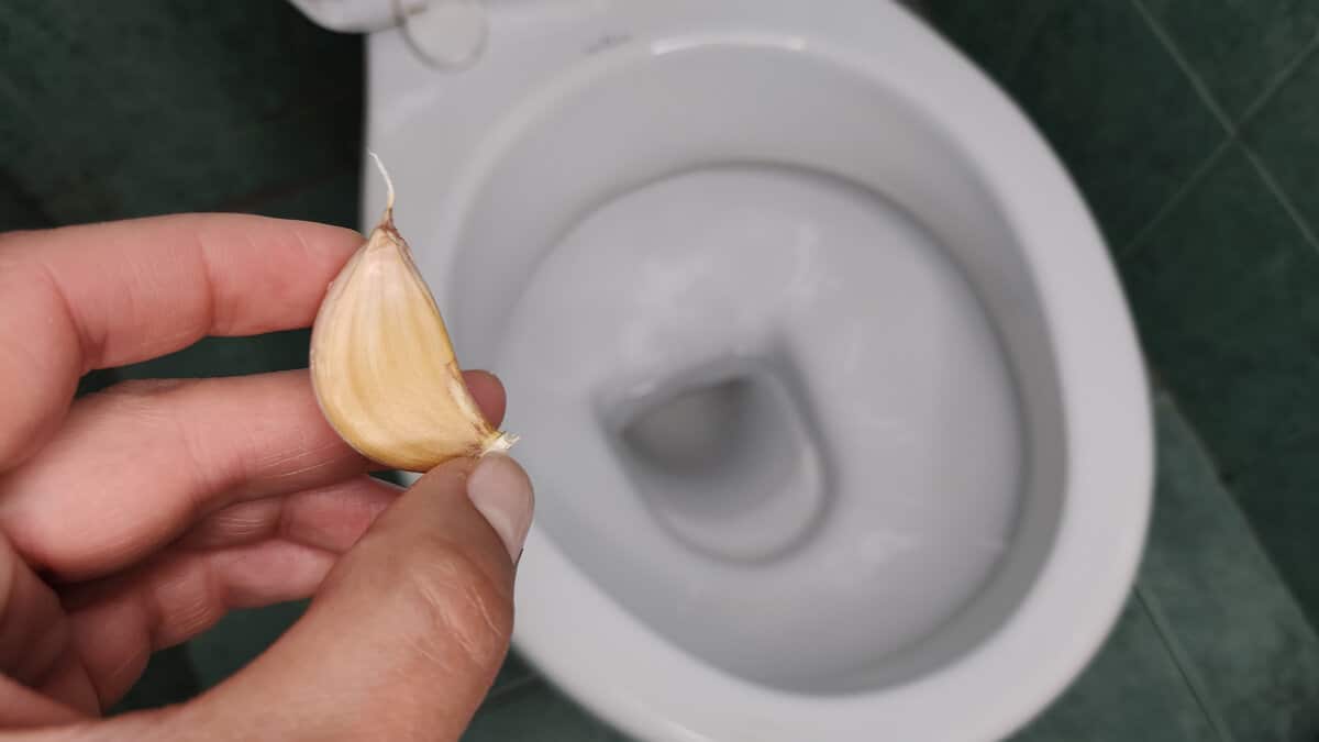 Čo znamená vyhodiť strúčik cesnaku do záchoda