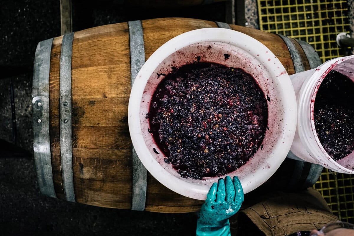 Táto málo známa prísada, ktorú treba vložiť do kompostéra, urýchli proces kompostovania v rekordne krátkom čase!