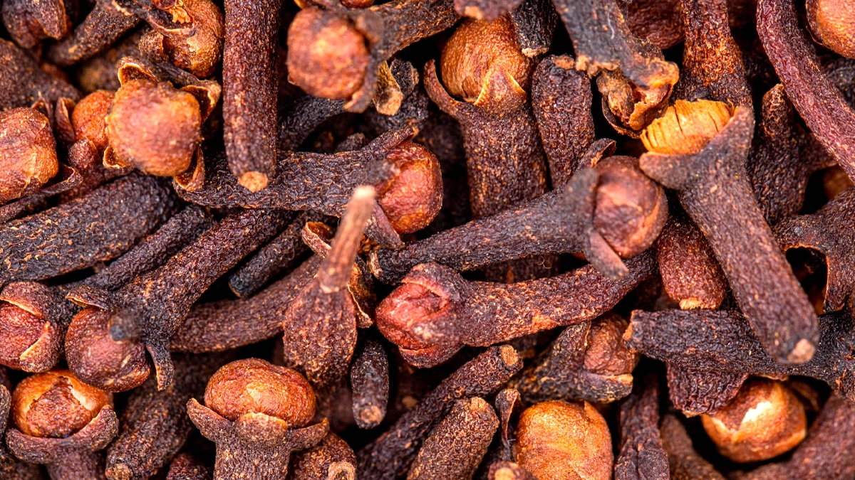 Malá hrsť klinčekov v malej miske účinne ochráni celý váš dom pred komármi.