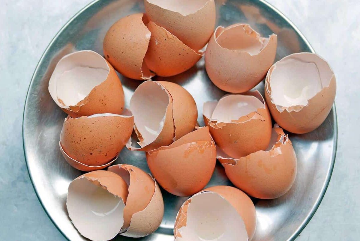 Pridám čierny nápoj do škrupiny a konám. Môj trik si zaslúži vavrínový veniec.