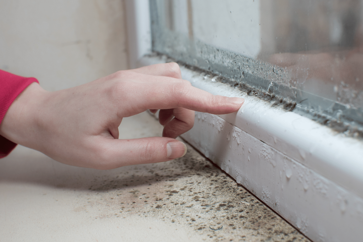 Vo vnútri domu sa na oknách rýchlo hromadí vlhkosť. Je dôležité si to všimnúť a zbaviť sa toho.