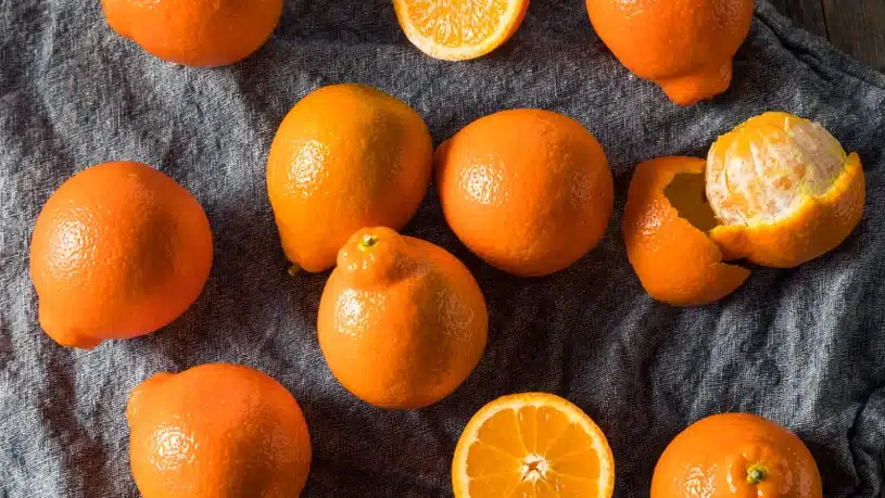 Túto exotickú rastlinu môžete pestovať doma. Je to hybrid mandarínky a grapefruitu.