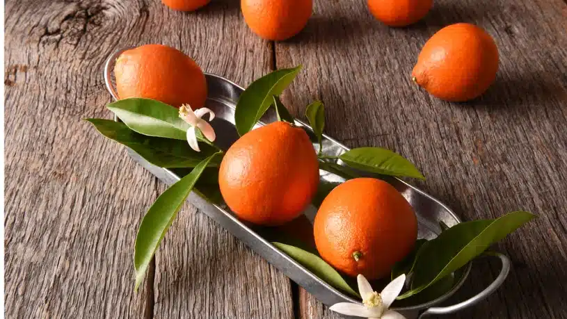 Túto exotickú rastlinu môžete pestovať doma. Je to hybrid mandarínky a grapefruitu.