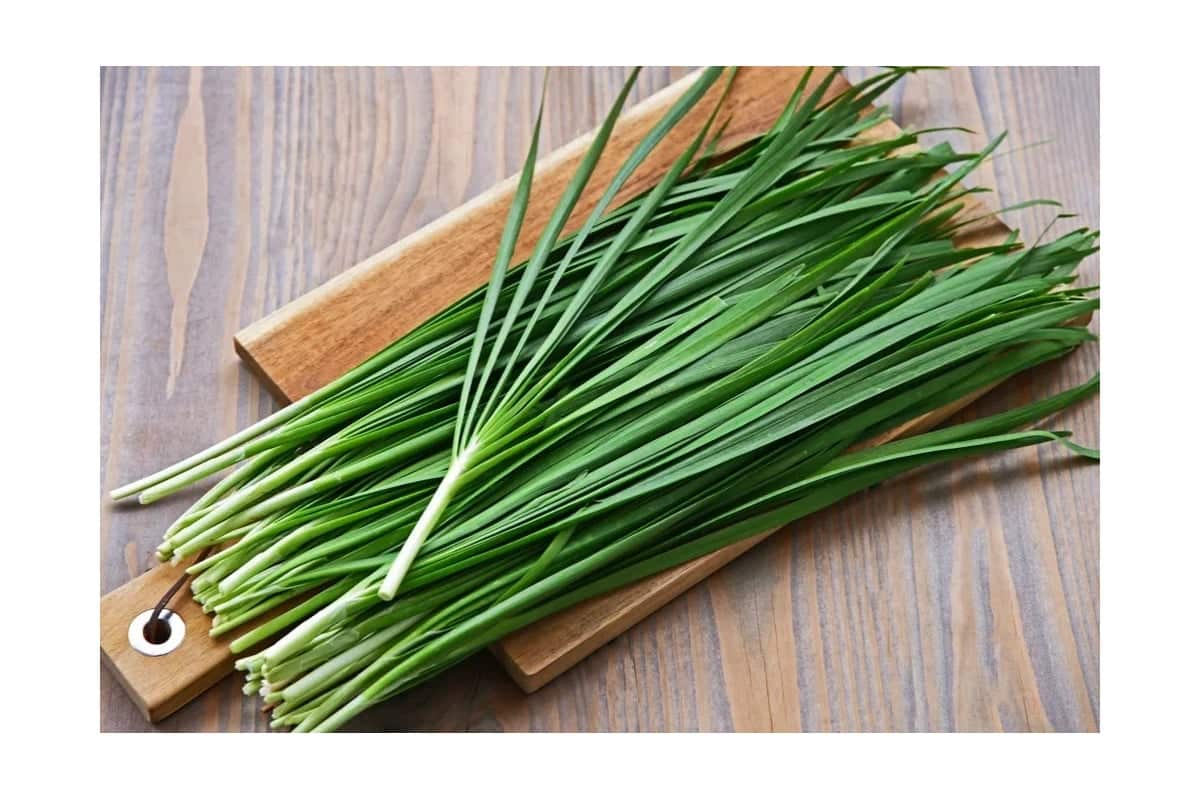 Najzdravšia rastlina rastúca na Slovensku na jar. Sezóna sa čoskoro začne a odborníci netrpezlivo očakávajú jej príchod.