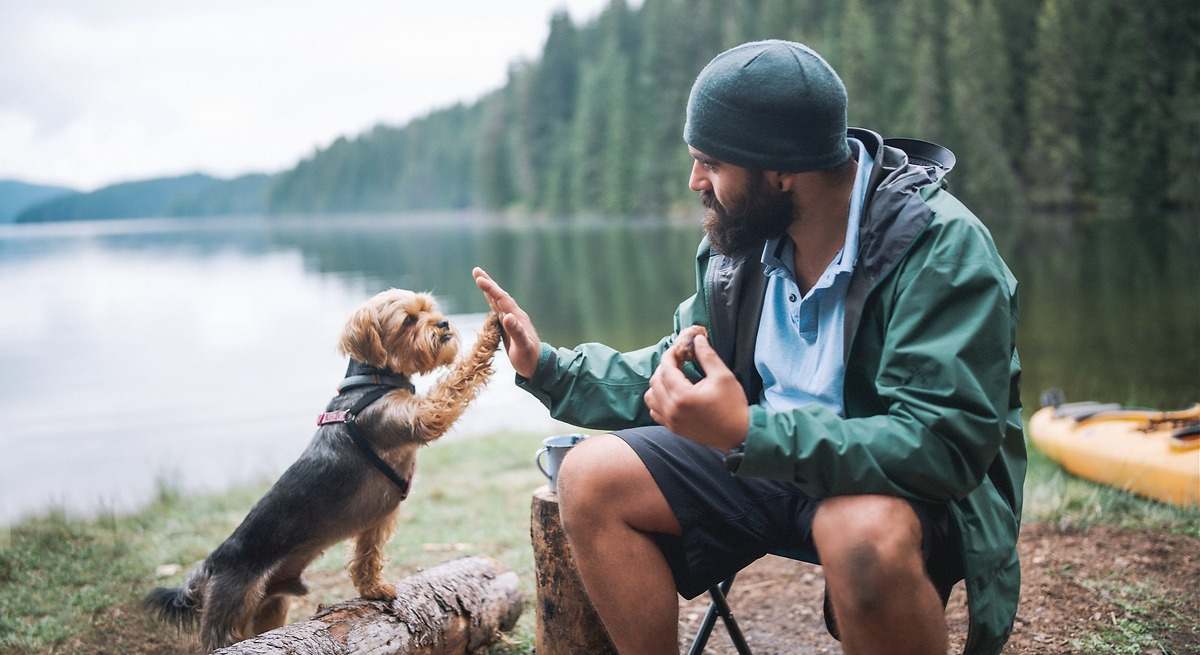 Dôvody, prečo najinteligentnejší ľudia majú málo blízkych priateľov, podľa psychológie.