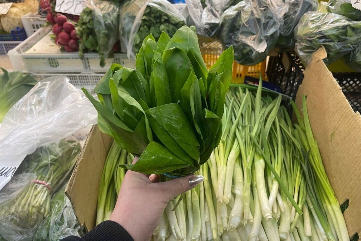 Najzdravšia rastlina rastúca na Slovensku na jar. Sezóna sa čoskoro začne a odborníci netrpezlivo očakávajú jej príchod.