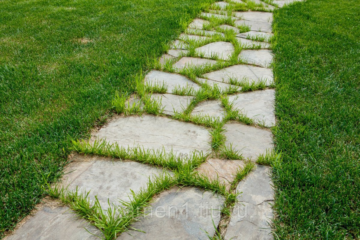 Po roztopení snehu postriekajte praskliny v dlažobných doskách. Týmto spôsobom zničíte všetku burinu skôr, ako sa rozšíri. Tu je návod, ako sa zbaviť buriny na dlažobných doskách.