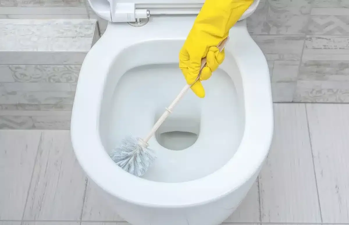 Vylejte to do záchodu pred príchodom hostí: o pár minút sa rozvinie príjemná vôňa.