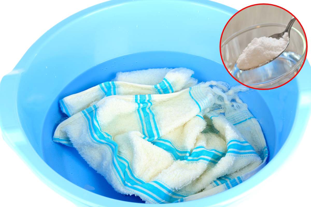 Stačí ich večer namočiť a ráno nebudete veriť vlastným očiam: kuchynské utierky budú ako nové.