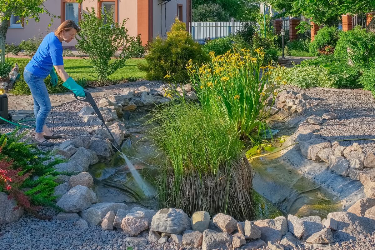 Urobte to so svojím rybníkom po zime. Stane sa perlou okolia.