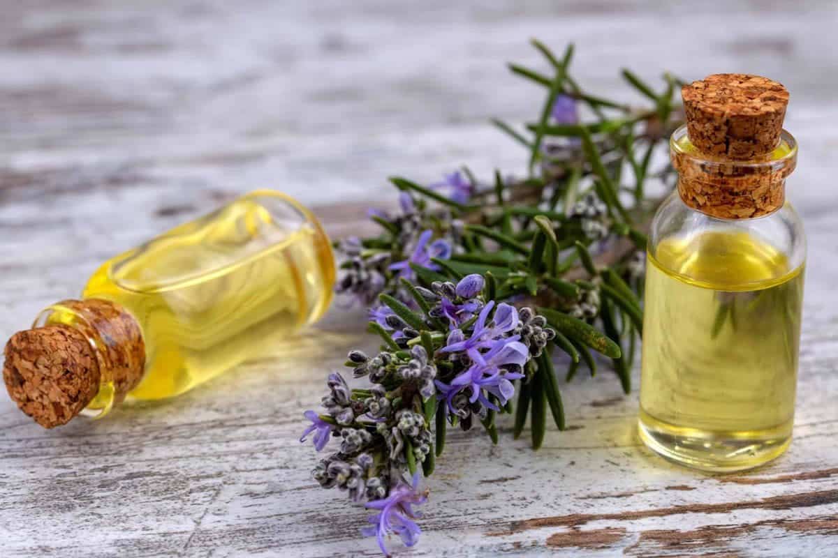 Niekoľko kvapiek do šampónu alebo domácej masky na vlasy. Tento olej dodá vlasom lesk