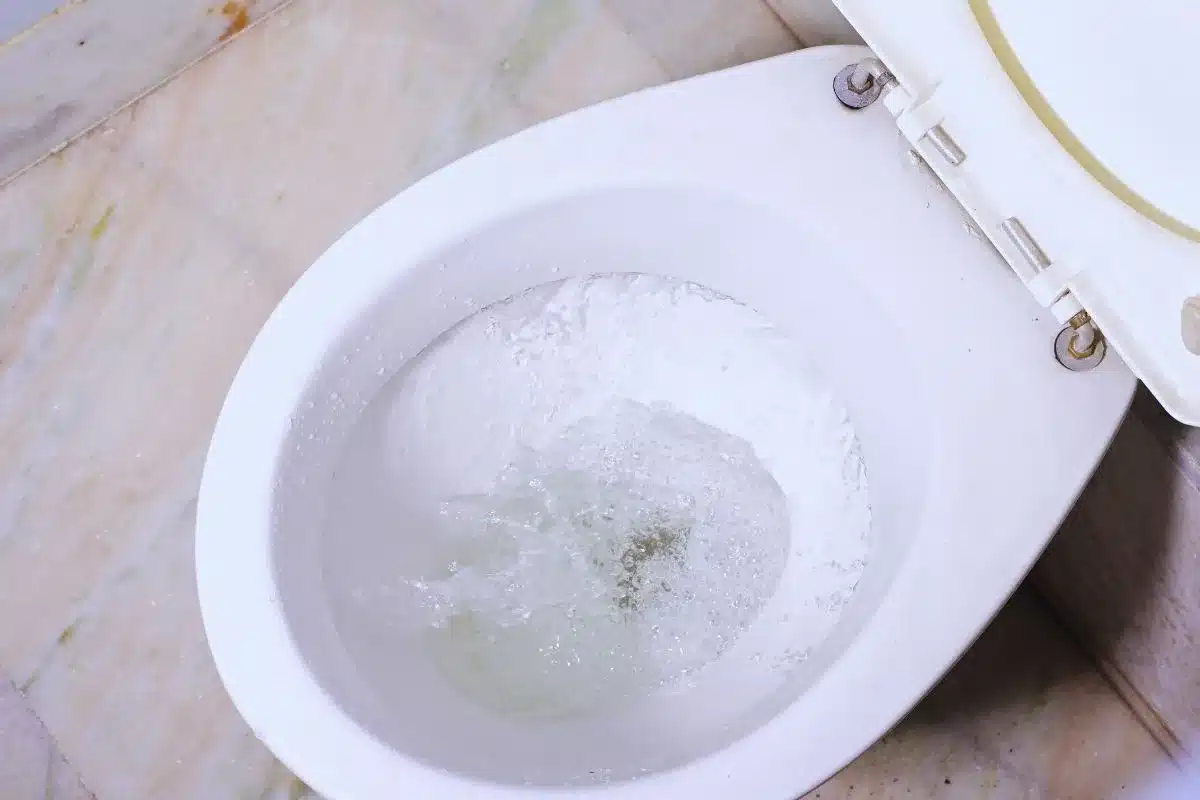 Hodte do záchodu len jednu „vec“ v hodnote 2 mincí. Už o 24 hodín sa stane zázrak a výsledkom nebudete veriť.