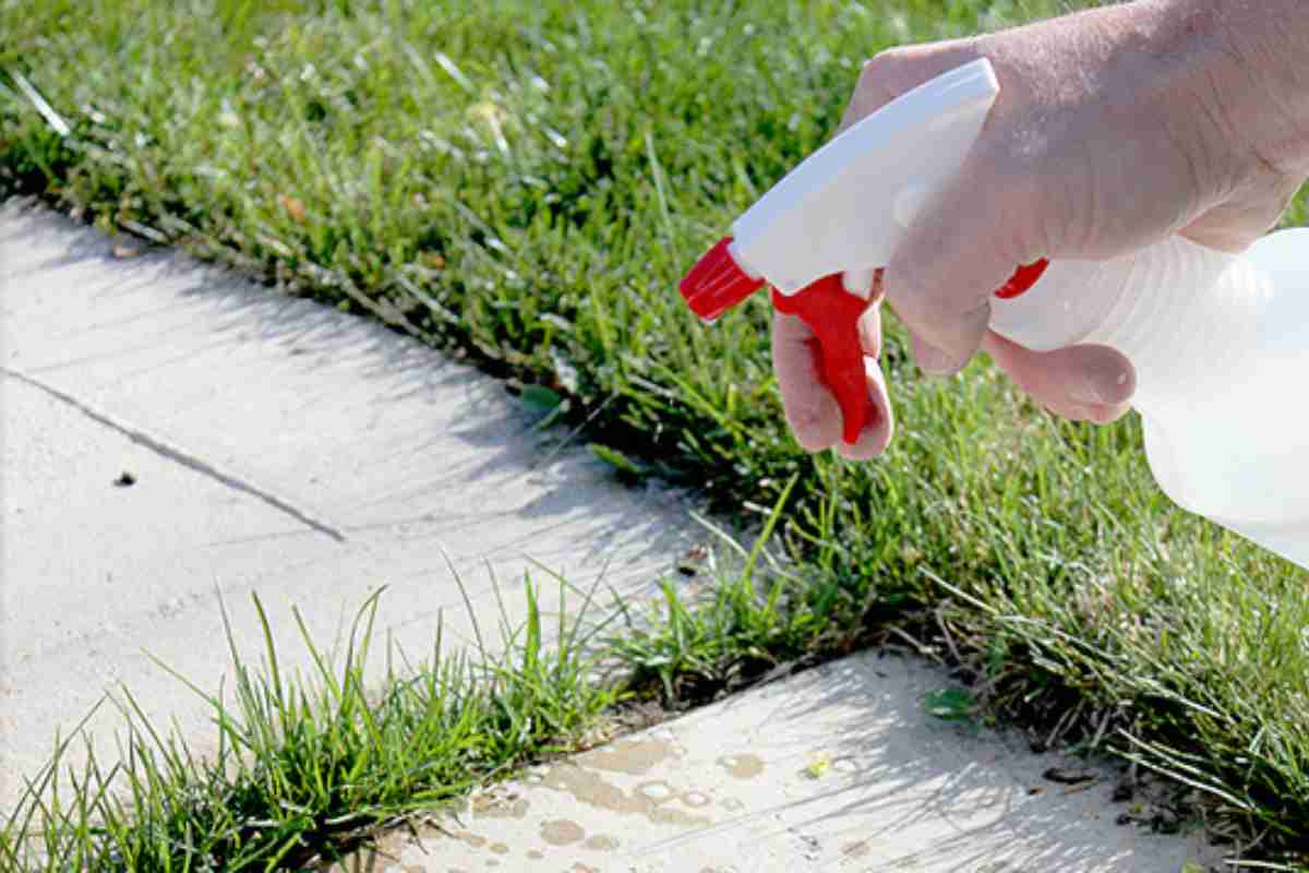 Po roztopení snehu postriekajte praskliny v dlažobných doskách. Týmto spôsobom zničíte všetku burinu skôr, ako sa rozšíri. Tu je návod, ako sa zbaviť buriny na dlažobných doskách.