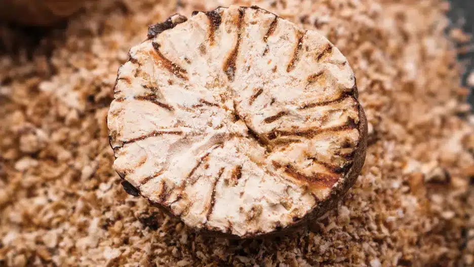 Silný afrodiziakum, ktorý si môžete kúpiť v každom obchode. Stojí pár centov, ale pôsobí ako modrá tabletka.