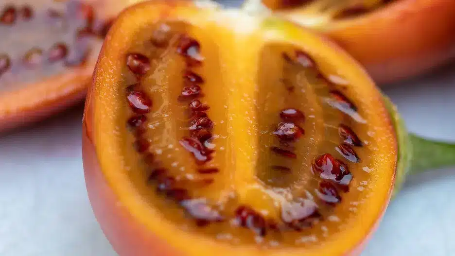 Je málo známý, ale je chutný a zdravý. Ak ho uvidíte v obchode, bez váhania ho kúpte.