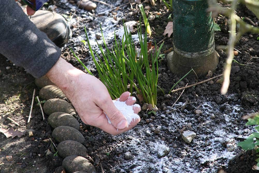 Upratovanie záhrady po zime: čo robiť a čo nerobiť.