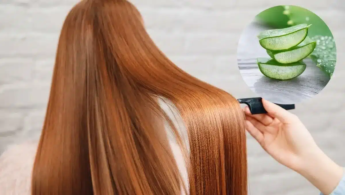 Ako dodať vlasom lesk pomocou malého množstva aloe vera: účinná domáca maska.