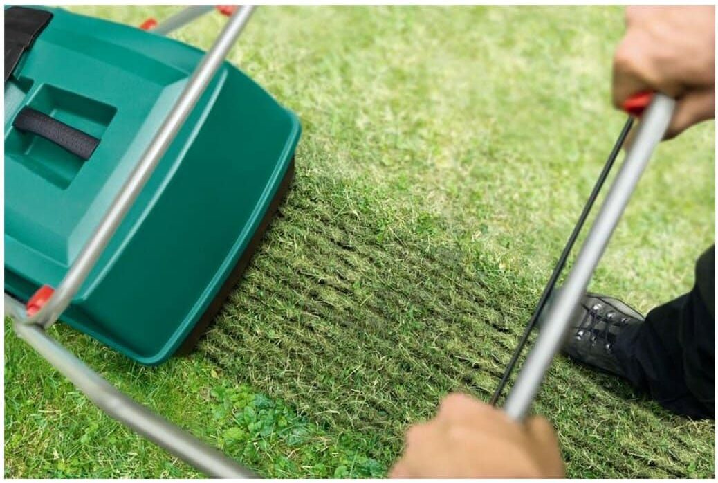 Urobte to hneď teraz vo vašej záhrade. Tak odhalíte prezimujúce larvy.