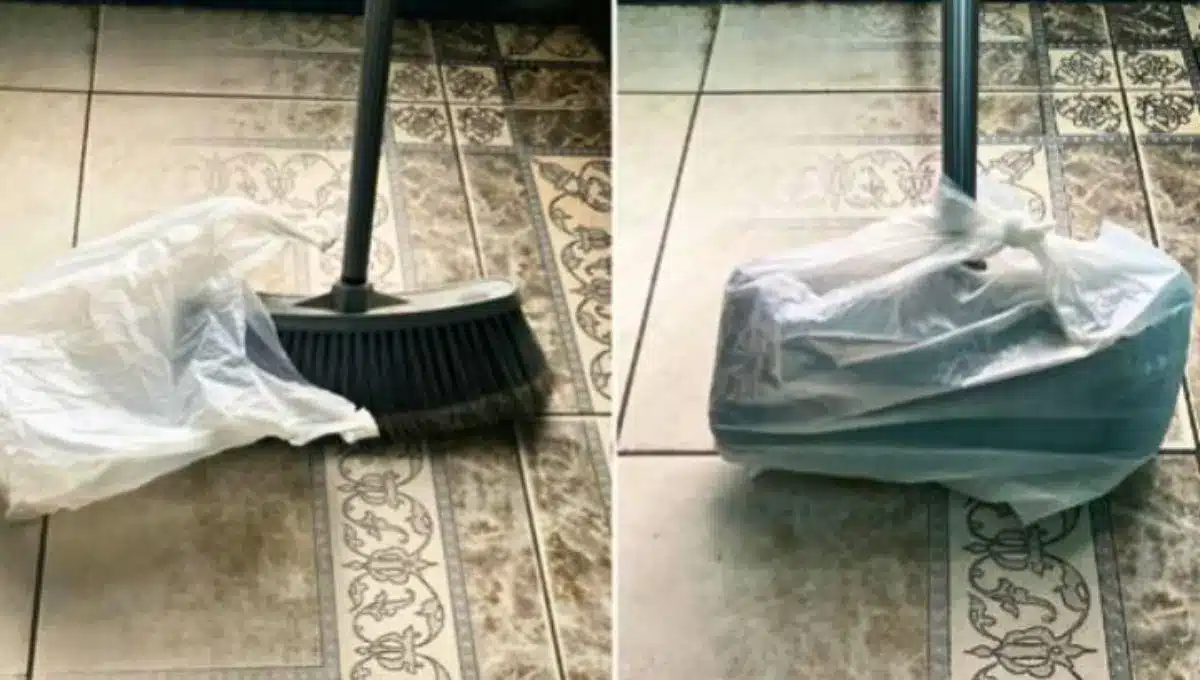 Nanášanie silikónu na štetiny metly: prečo sa to odporúča a načo je to potrebné.