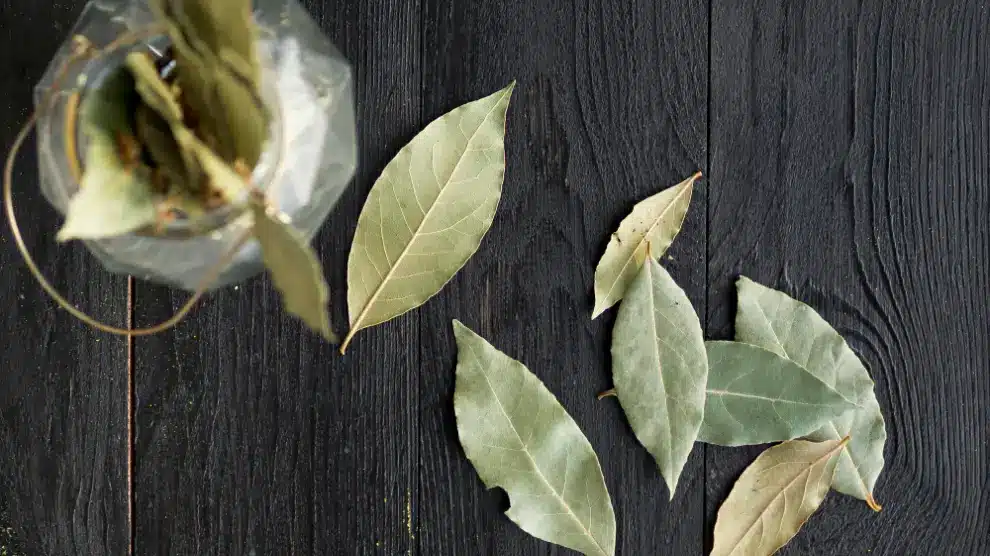 Zmiešanie bobkových listov a jedlej sódy: načo je to potrebné a prečo sa to odporúča