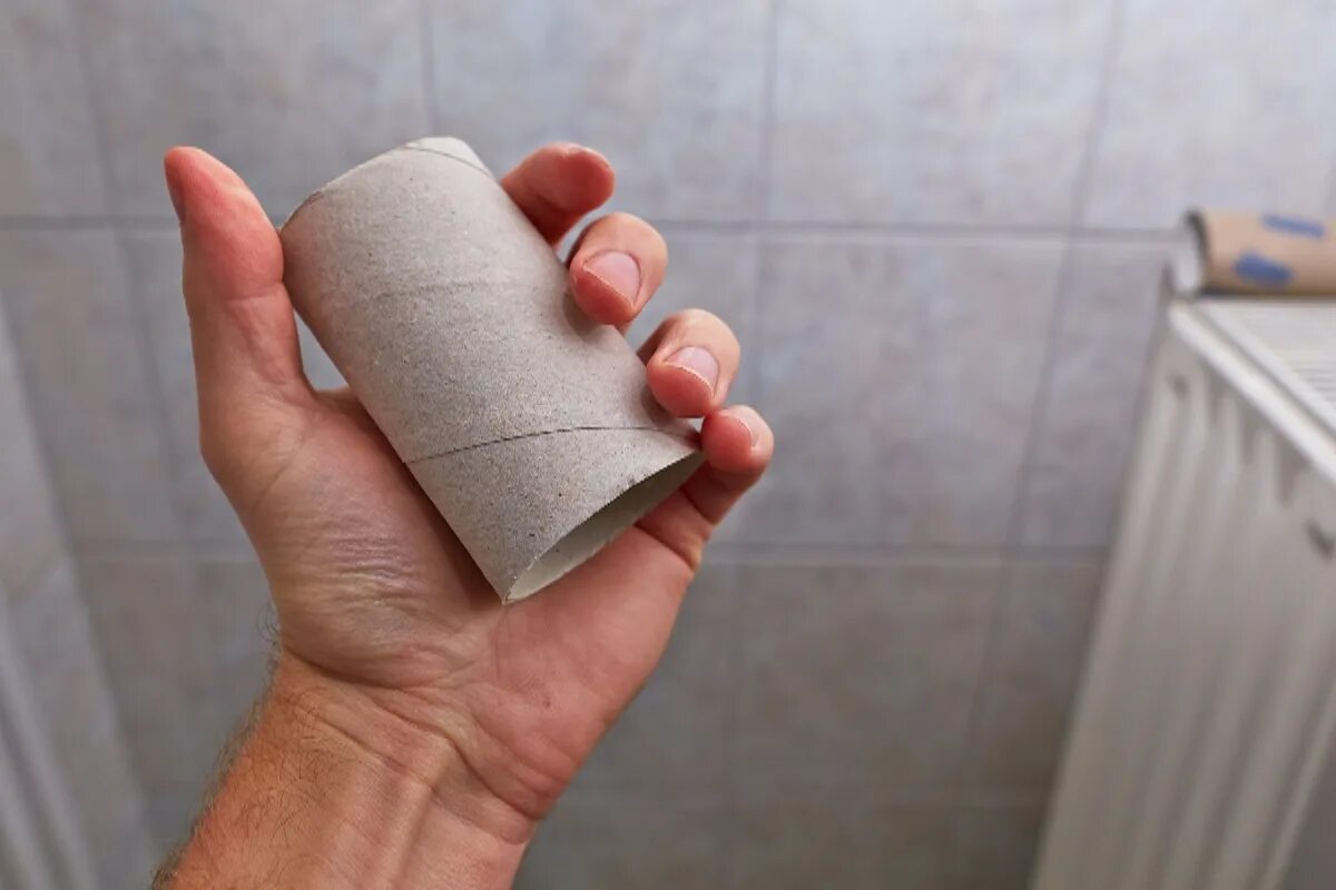 Zbieram a uchovávam vložky z toaletného papiera ako zlatý poklad: takto ich používam – užitočná vec v domácnosti