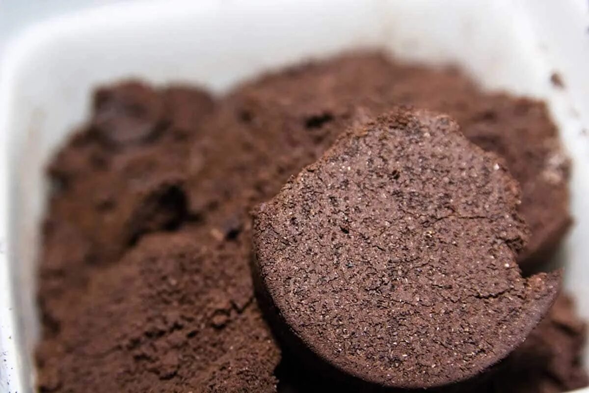 Jedna lyžica stačí: práve preto čoraz viac ľudí vyhadzuje kávovú usadeninu do záchodu.