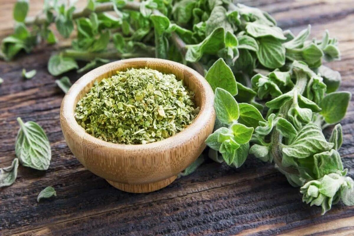 Slováci ho pripravujú ako čaj, Turci ho používajú do šalátov a k mäsu. Zlepšuje chuť a podporuje trávenie.