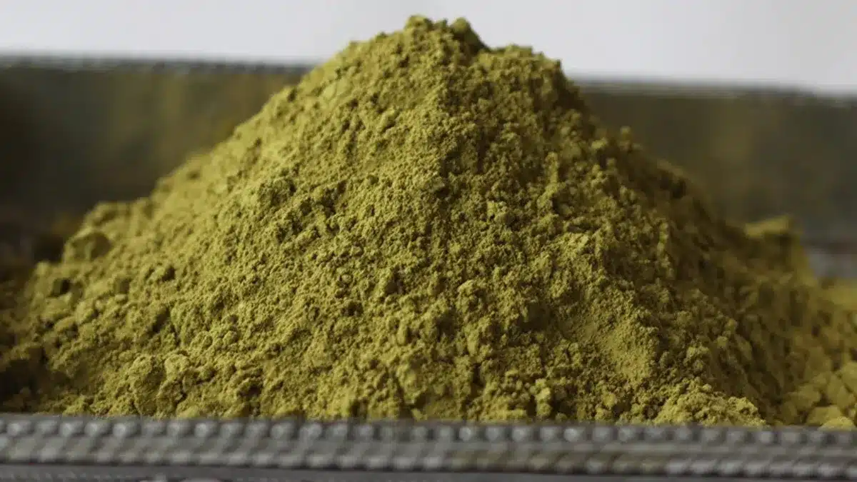 Prírodná zelená pasta premenila moje vlasy. Prírodný spôsob, ako im dodať krásnu farbu a posilniť pramene.