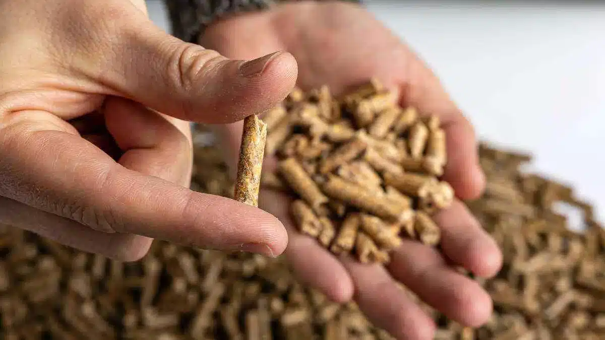 Koniec módy na peletové vykurovacie systémy. Tieto systémy si získavajú domovy.