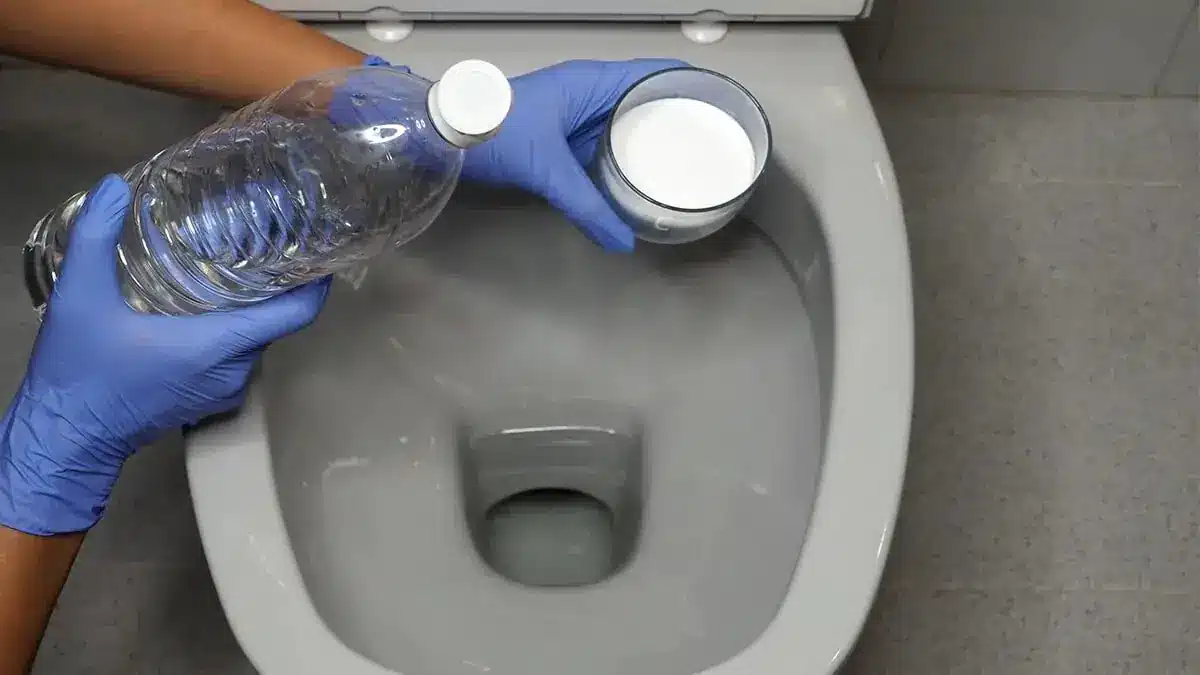 Pred príchodom hostí nalejte prostriedok do záchodu: po niekoľkých minútach bude kúpeľňa výrazne sviežejšia.