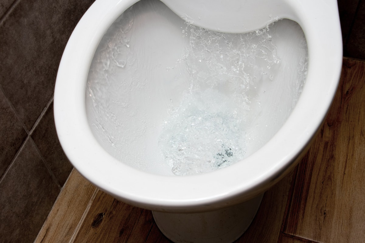 Vylejte to do záchodu pred spaním. Ráno bude biely ako nový.