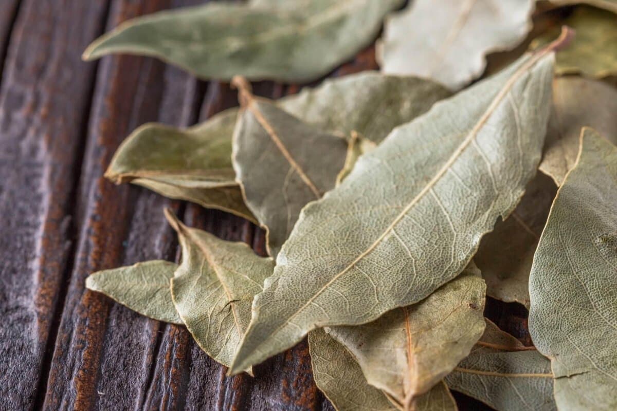 Položte bobkový list pod koberec a zajtra ráno sa zbavíte svojich každodenných problémov.