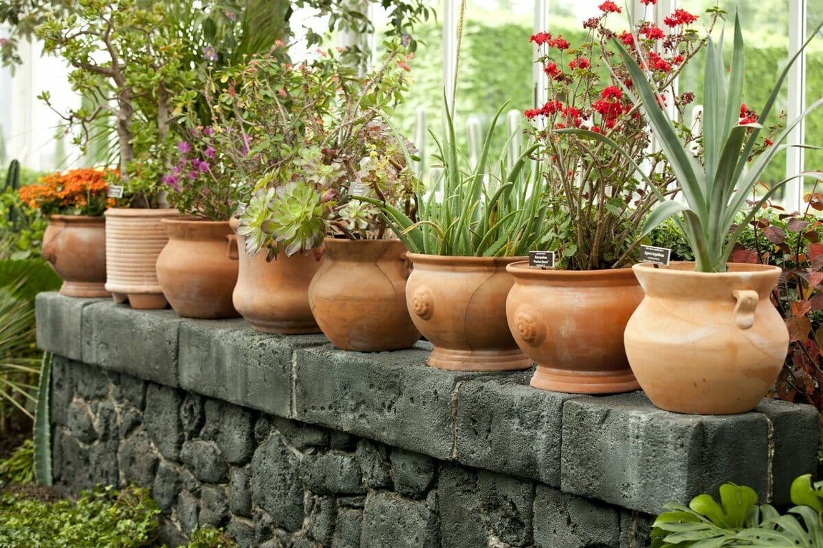 Už žiadne kvetináče. V Európskej únii sa chystá nový zákaz.