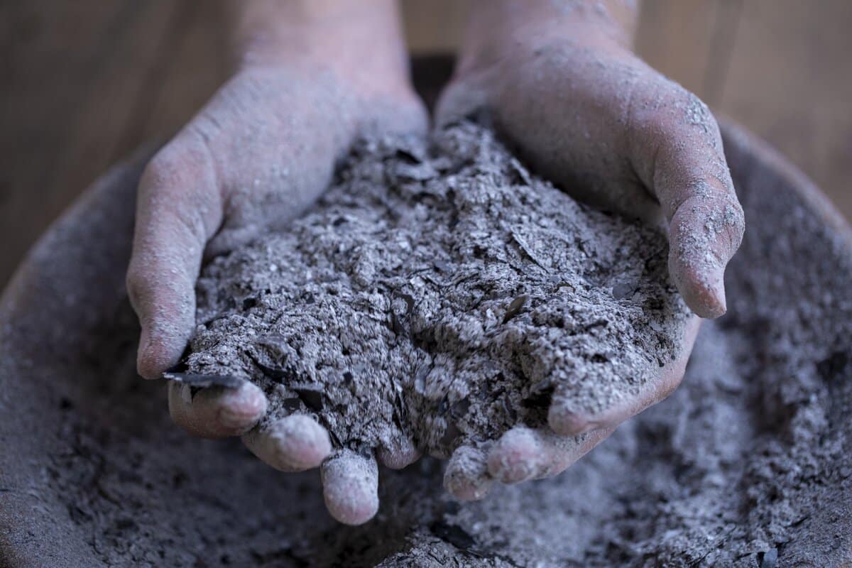 Prečo rozhadzovanie drevného popola v záhrade v zime chráni korene pred mrazom