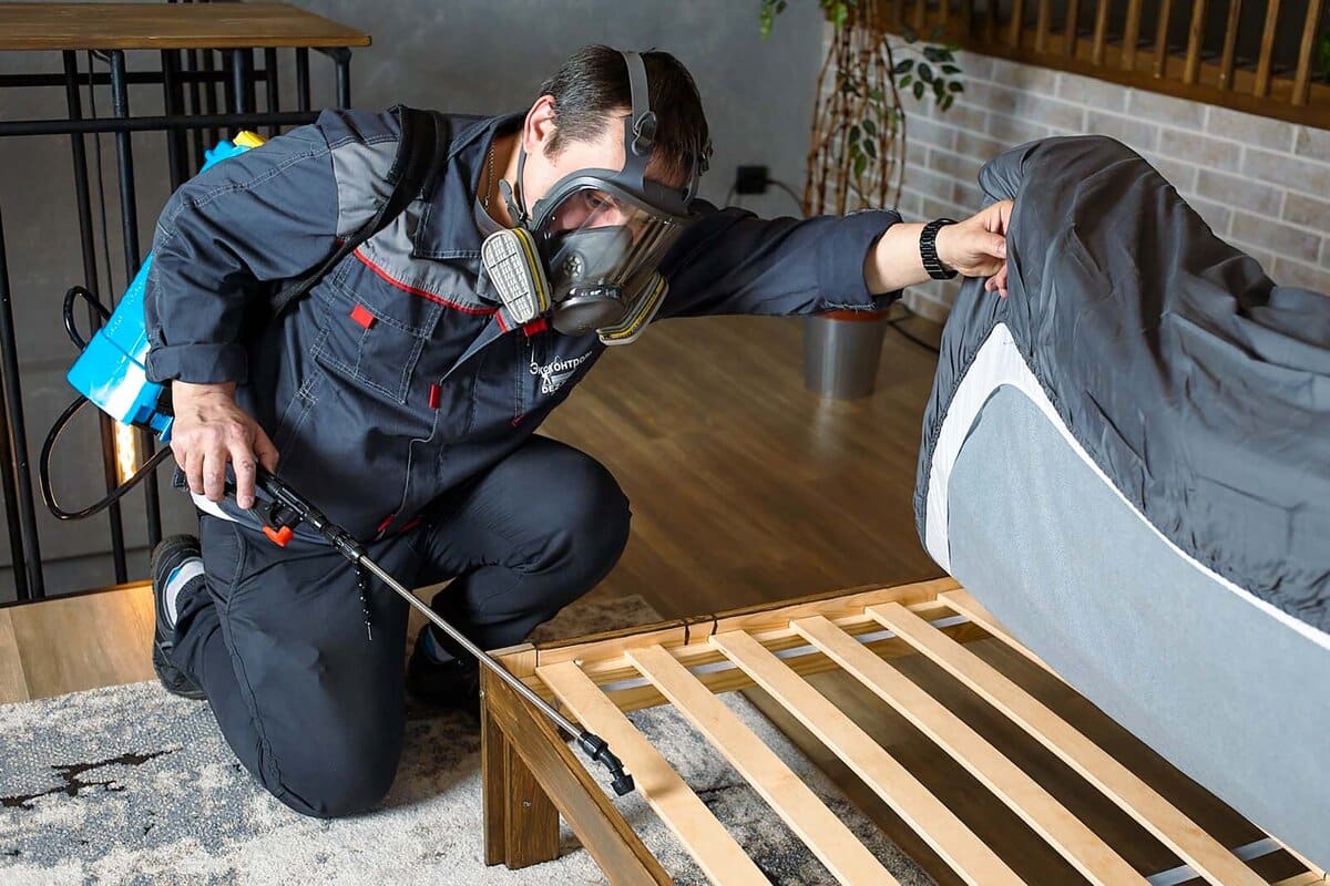 Naozaj alkohol zabíja ploštice? Názory odborníkov na to, ako sa ich zbaviť.