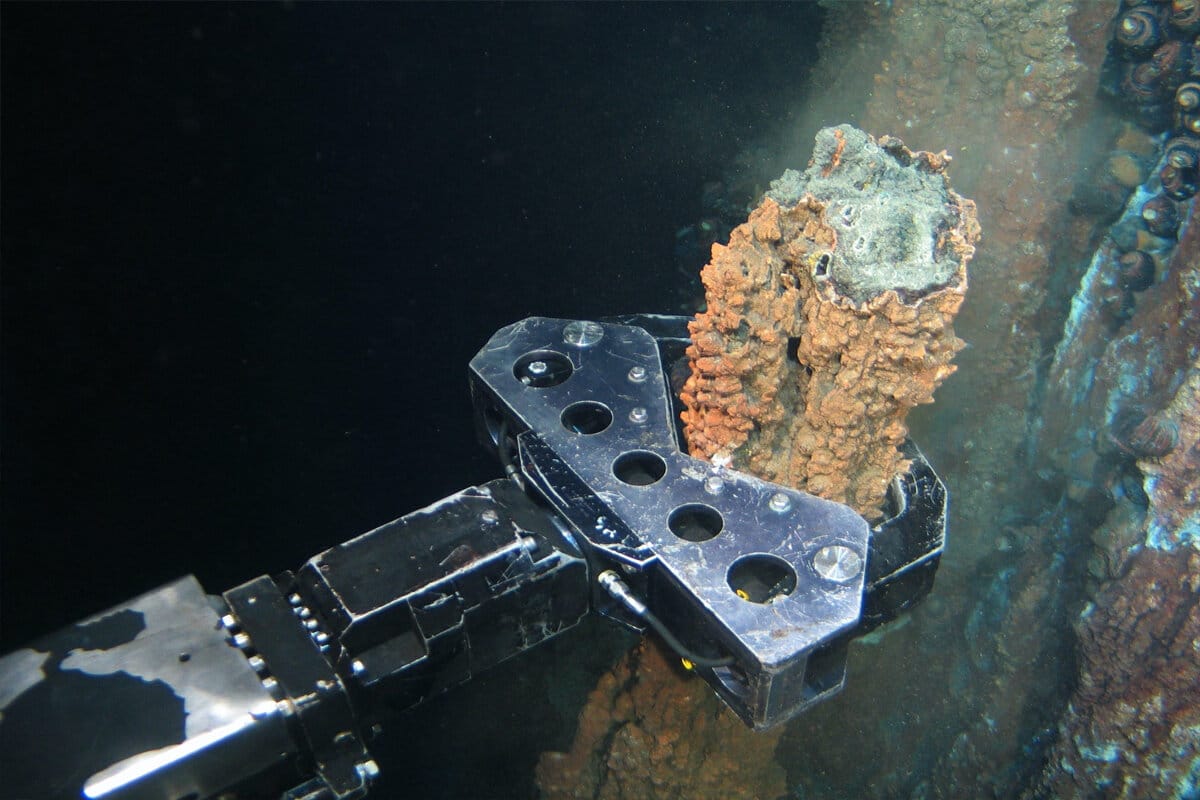 Vedci sú hlboko znepokojení: objavili dôkazy o skutočnom vplyve podmorskej ťažby nerastných surovín.