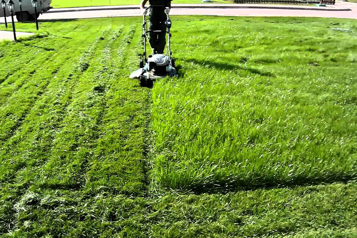 Záhrada: Do tej doby trávnik nekosite; najskôr by sa vo vašej záhrade mali objaviť tieto 3 znaky.