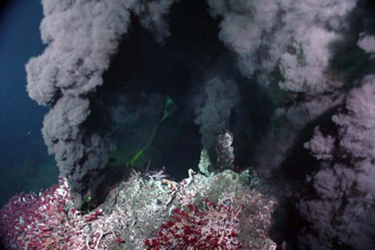 Vedci sú hlboko znepokojení: objavili dôkazy o skutočnom vplyve podmorskej ťažby nerastných surovín.