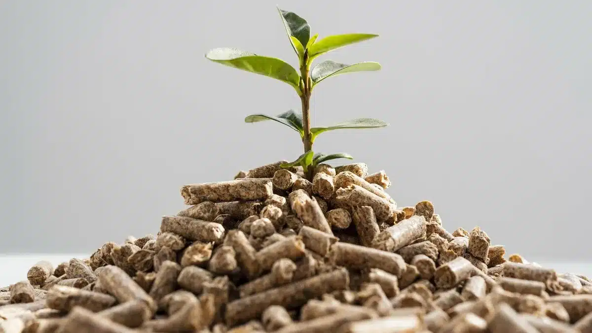 Koniec módy na peletové vykurovacie systémy. Tieto systémy si získavajú domovy.