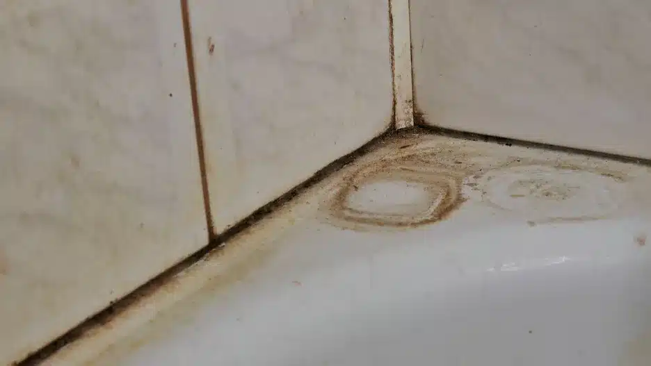 Rozsypte ho v kúpeľni. Rýchlo sa zbavíte silikónovej plesne.