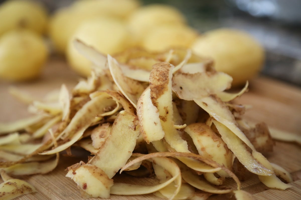 Orchidea: prinúťte ju kvitnúť takmer okamžite pomocou obyčajného zemiaka.